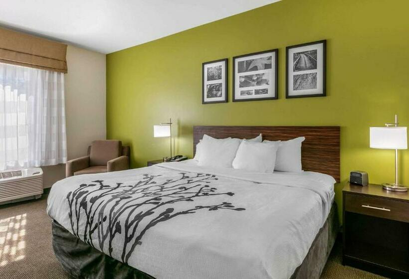 带大床的标准间, Sleep Inn & Suites