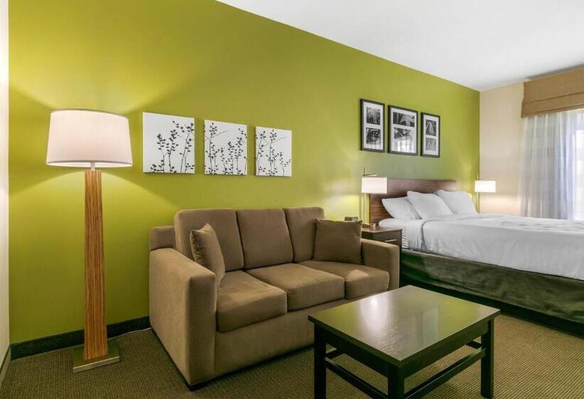 带大床的套房, Sleep Inn & Suites