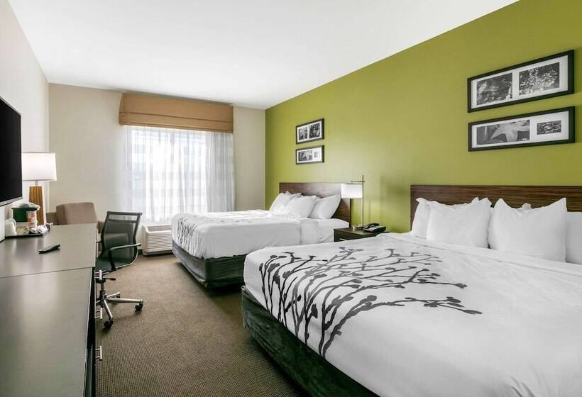스탠다드 룸, Sleep Inn & Suites