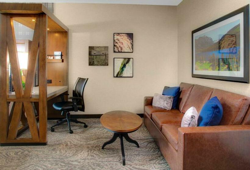 스위트 킹사이즈 침대, Springhill Suites By Marriott Bozeman