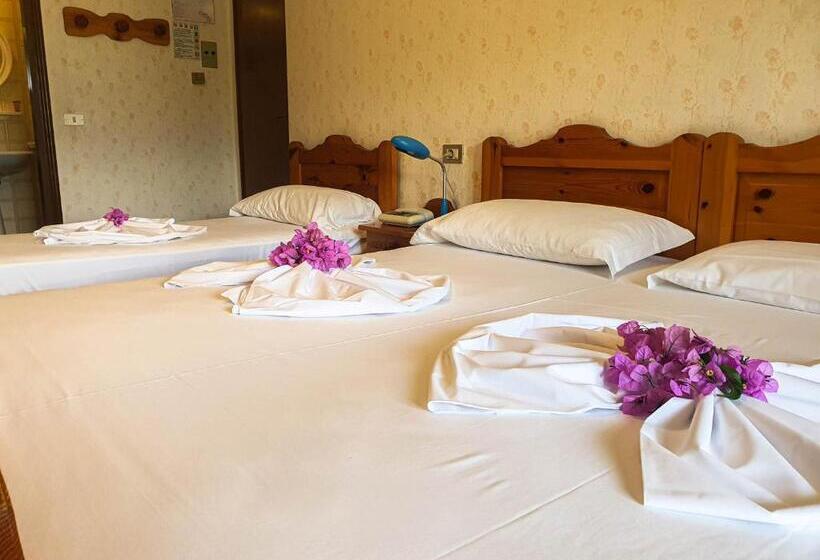 Трехместный Номер Стандарт Вид на Сад, Residence Hotel Maxi