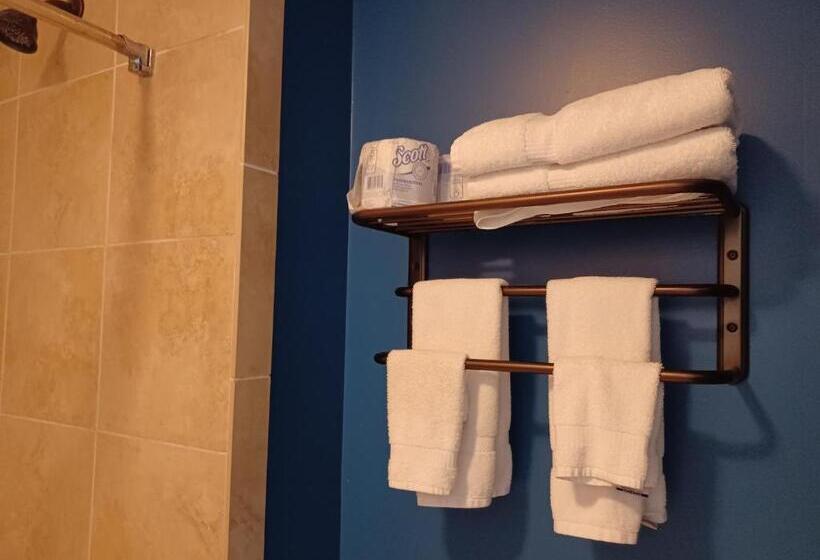 Номер Стандарт, Natchez Manor Bed & Breakfast