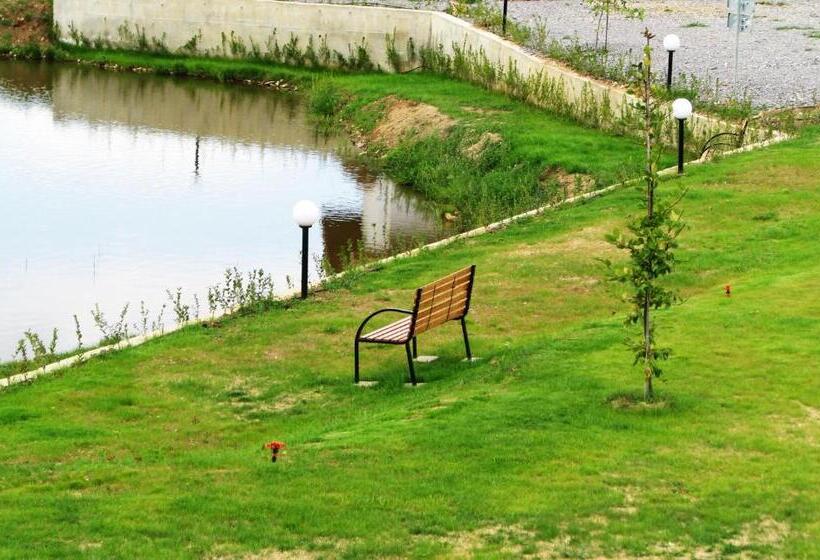 Номер Стандарт Вид на Озеро, Park Hotel Eagle Stone