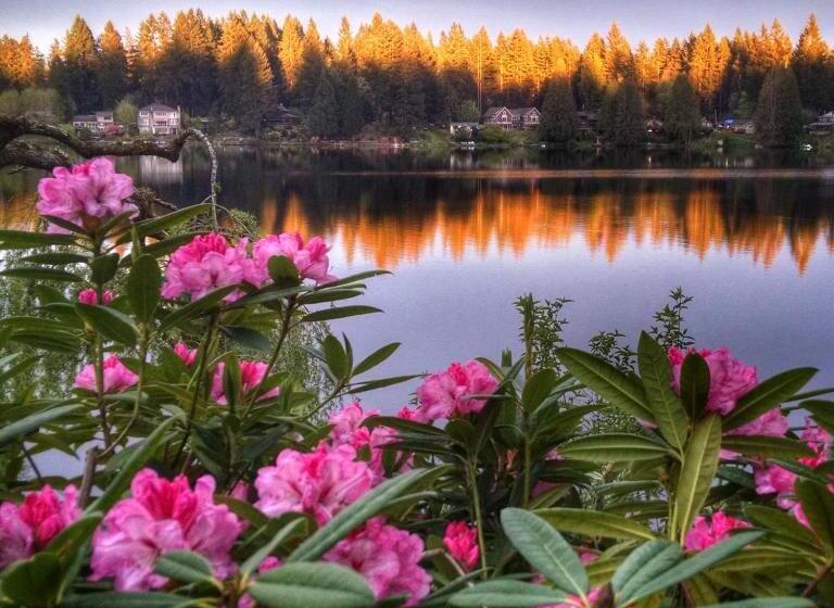 디럭스 스위트, Cottage Lake Bed And Breakfast