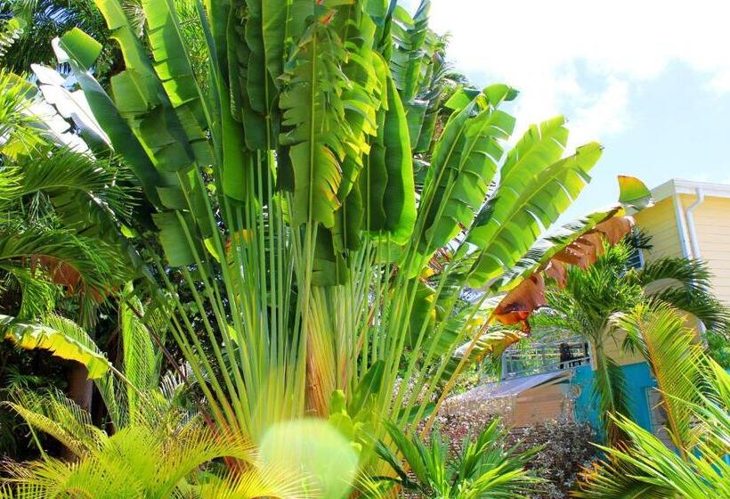 سوئیت با وان آب گرم, Majesty Palm