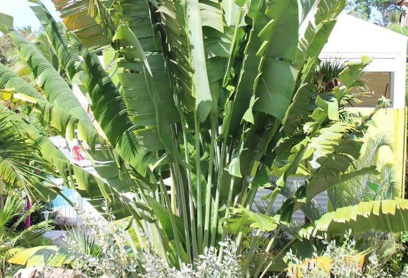 سوییت با چشم‌انداز استخر, Majesty Palm