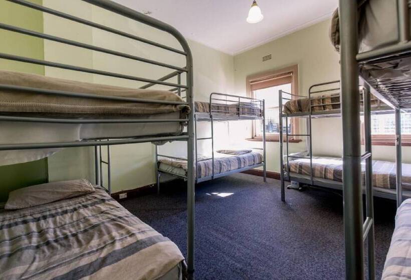 Cama em Quarto Compartilhado, The Pickled Frog