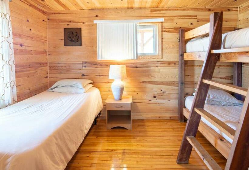 Номер Стандарт, A Stay Inn Ely