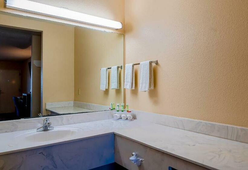 Стандартный Номер Кровать Кинг, Regency Inn & Suites