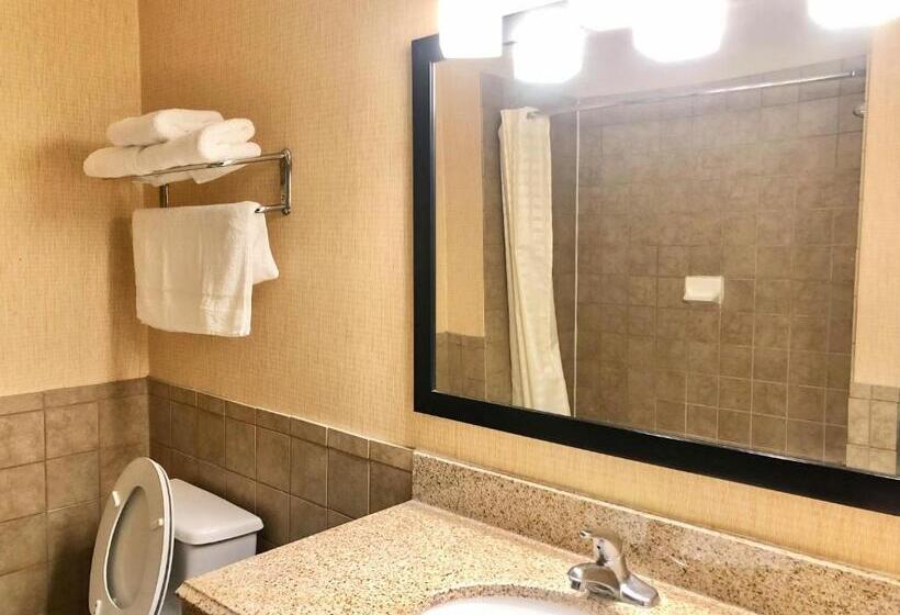İki Çift Kişilik Yataklı Standart Oda, Airway Inn   Iah Airport