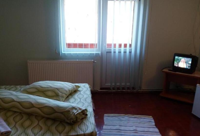 اتاق استاندارد با بالکن, Casa Andreea Maria