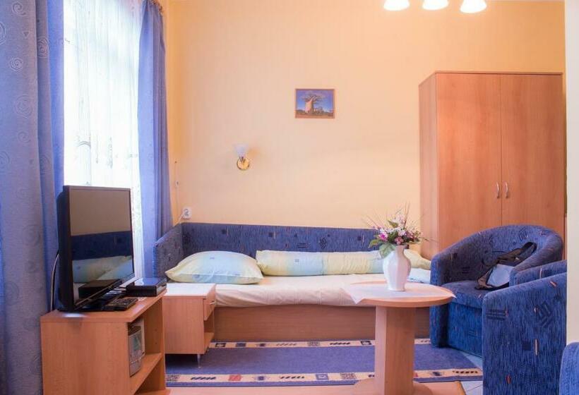 اتاق استاندارد, šd Urbánkova 2