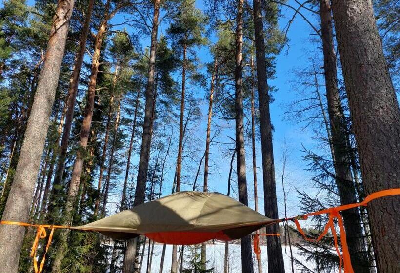 Standard Tent, Honkiniemi
