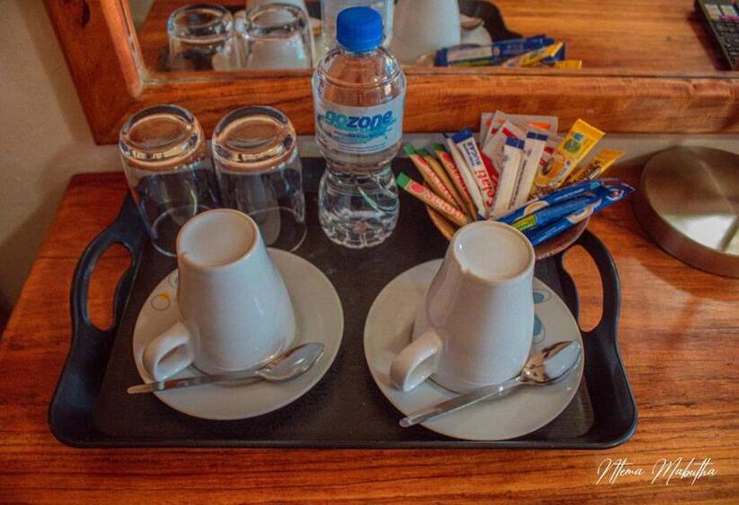 اتاق استاندارد, The Chobe Inn