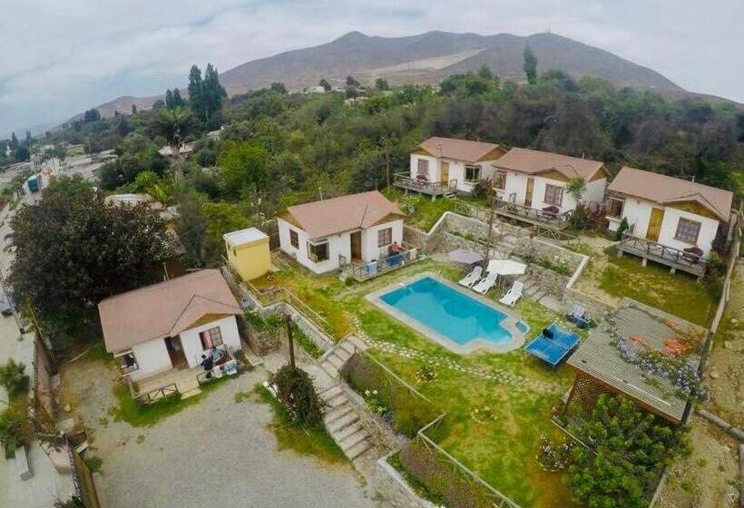 Апартаменты 1 Спальня с Террасой, Cabañas Terrazas De Olivos