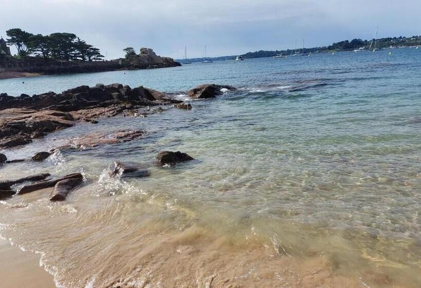 Номер Стандарт с Террасой, L Escale Fleurie à Saint Brieuc