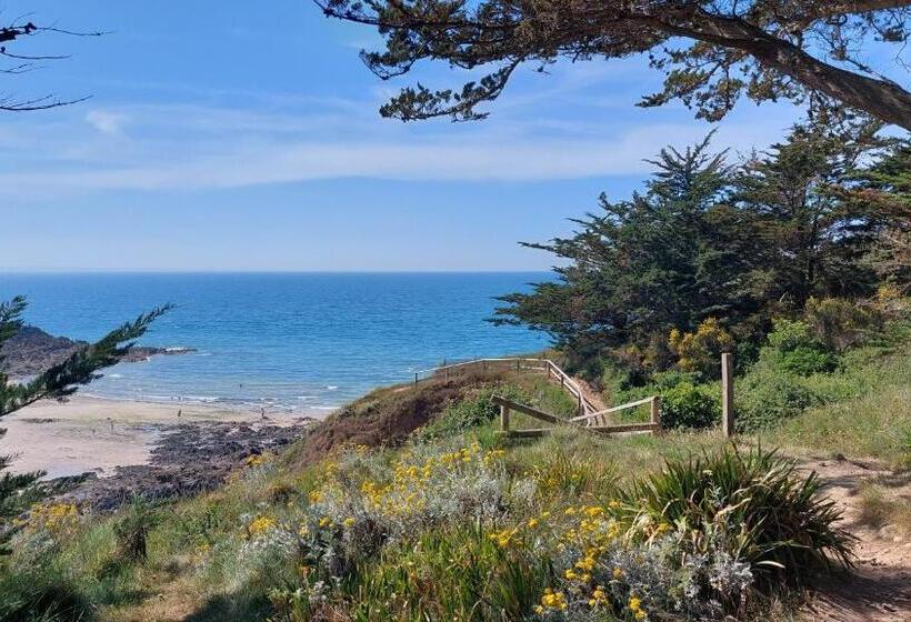 Номер Стандарт с Террасой, L Escale Fleurie à Saint Brieuc
