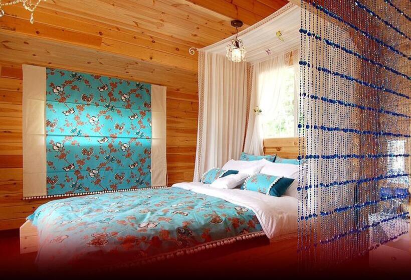Номер Стандарт, Dagagada Pension