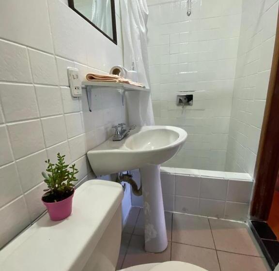 스탠다드 룸, Garden House Hostal