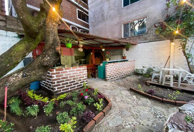 4인용 스탠다드 룸, Garden House Hostal