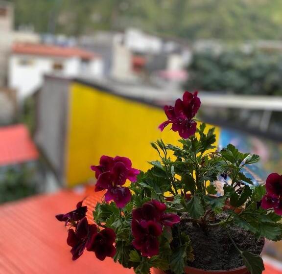 스탠다드 룸 가든 전망, Garden House Hostal