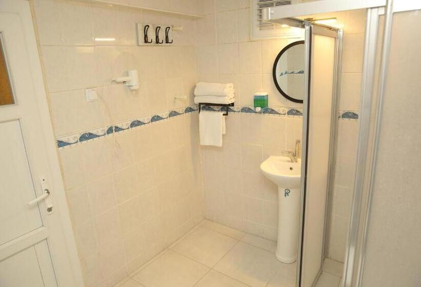 标准间带阳台, Premium Otel