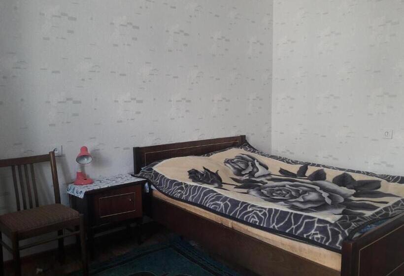 اتاق اکونومی, Shyrdak Travel