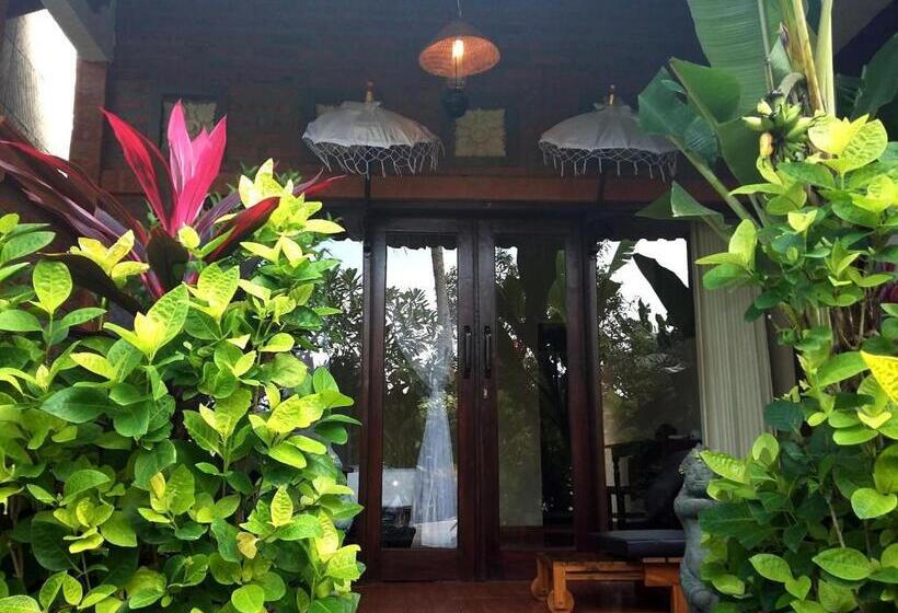 수피리어 스위트, The Sari Bungalows