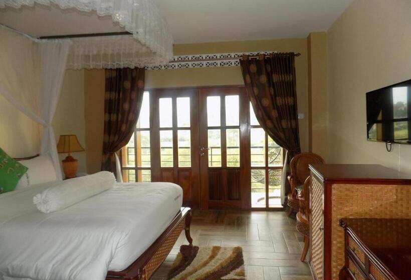 Deluxe Room, Fort Fun City