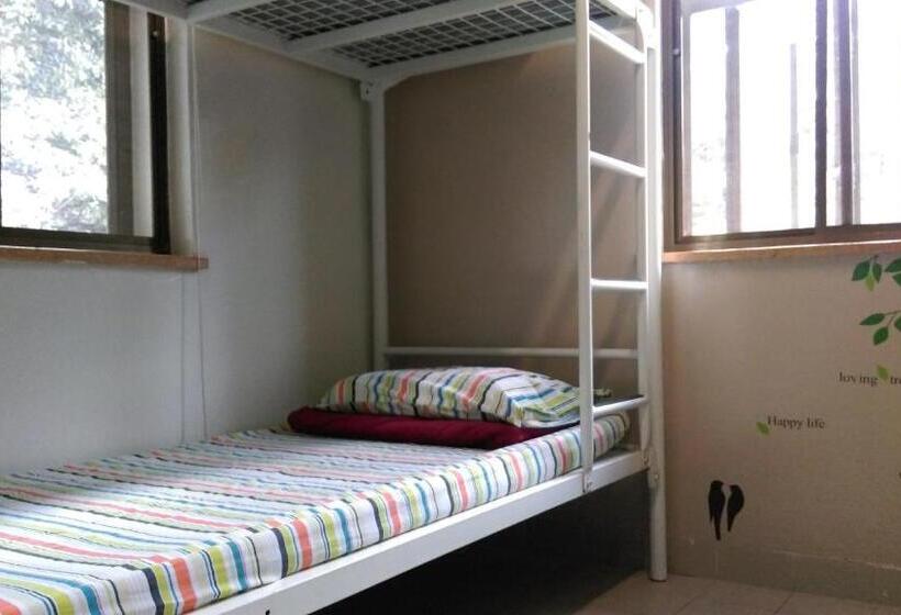 Bed in Shared Room with Shared Bathroom, Yha Ngong Ping Sg Davis Youth Hostel