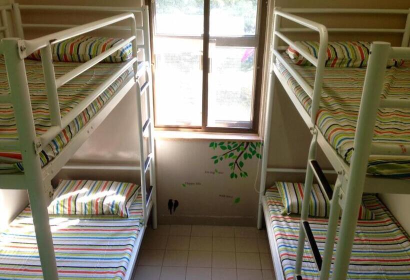 اتاق استاندارد, Yha Ngong Ping Sg Davis Youth Hostel
