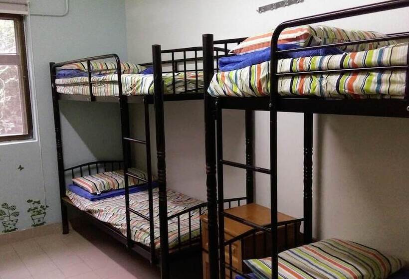 تختخواب در اتاق مشترک, Yha Ngong Ping Sg Davis Youth Hostel