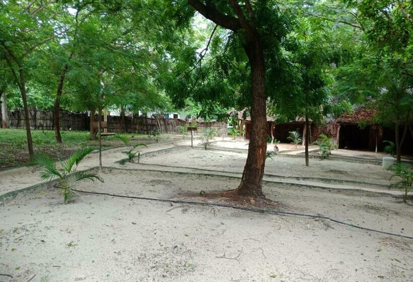 اتاق اکونومی, Soul Breeze Beach Resort