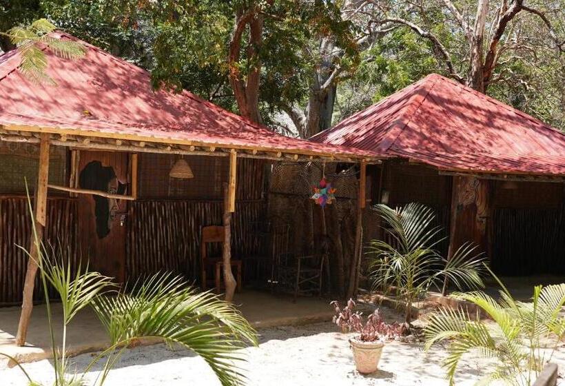 تختخواب در اتاق مشترک, Soul Breeze Beach Resort