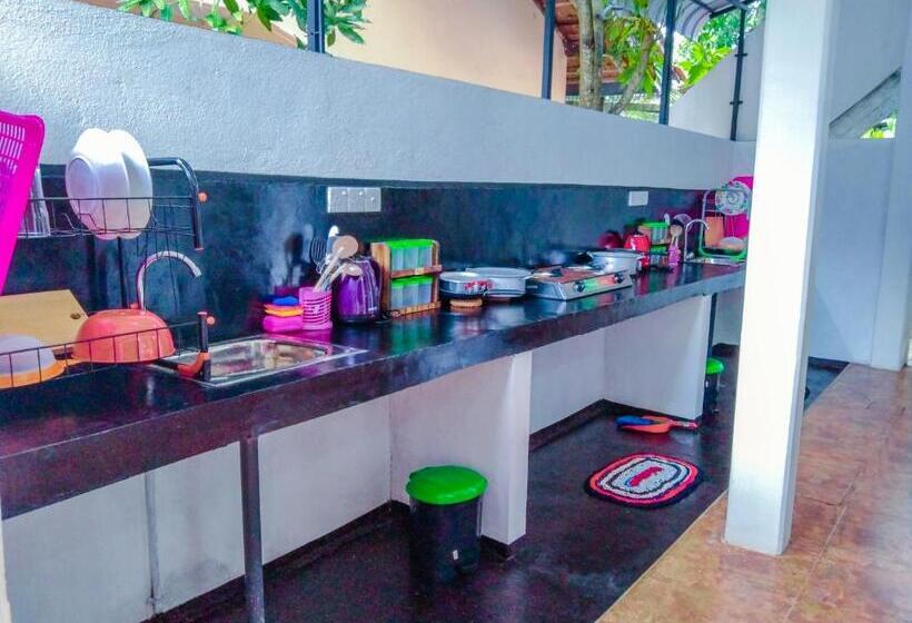 اتاق خانوادگی, Bloom Guest House