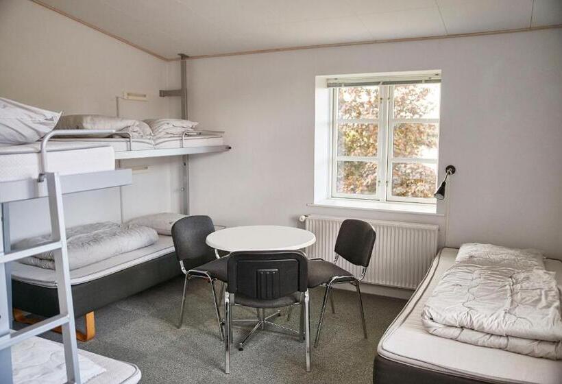 غرفة قياسية ثلاثية, Danhostel Haderslev