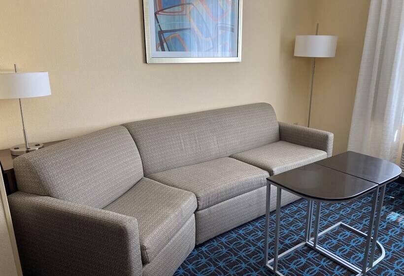 Люкс, Fairfield Inn & Suites By Marriott Hollister