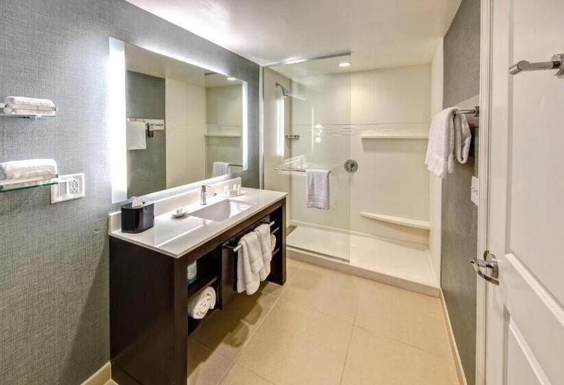 Люкс Адаптированный для Инвалидов, Residence Inn By Marriott Blacksburg University