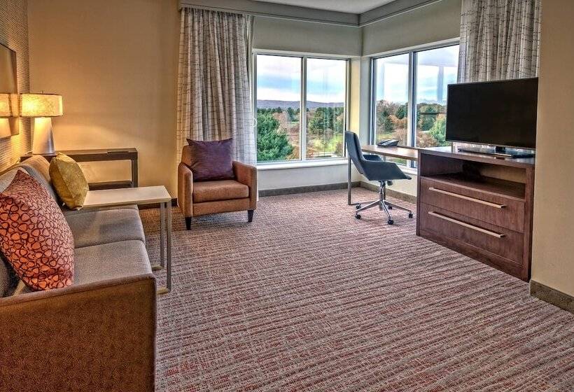 Люкс Адаптированный для Инвалидов, Residence Inn By Marriott Blacksburg University