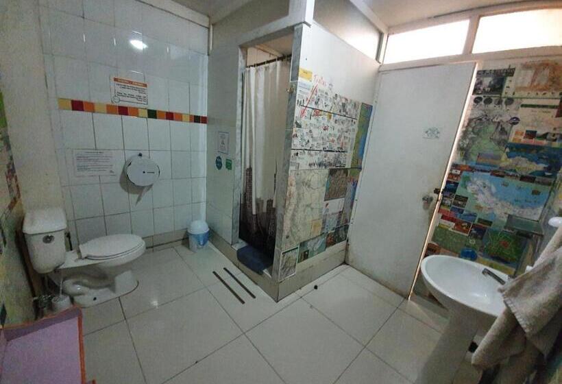 اتاق لوکس با بالکن, Nomada