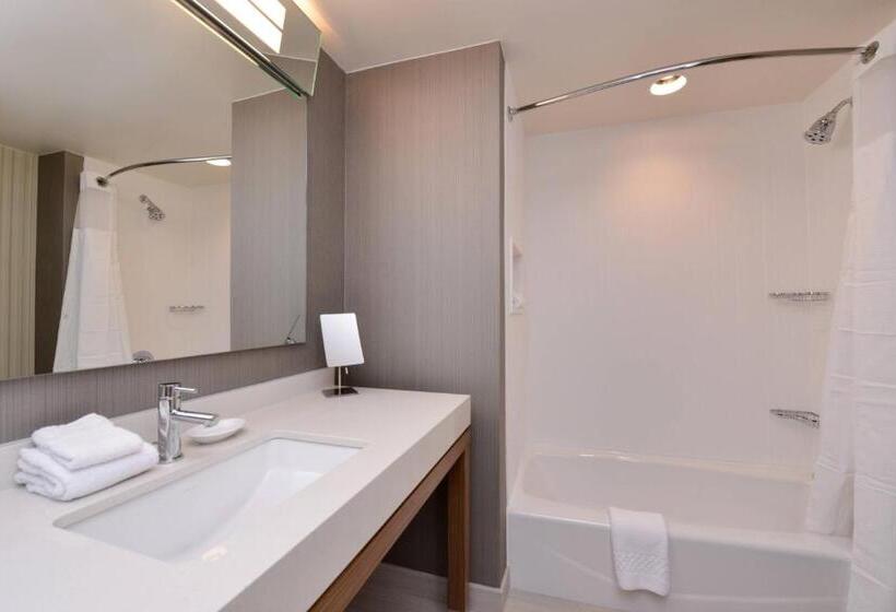 Номер Стандарт Адаптированный для Инвалидов, Courtyard By Marriott Toledo North