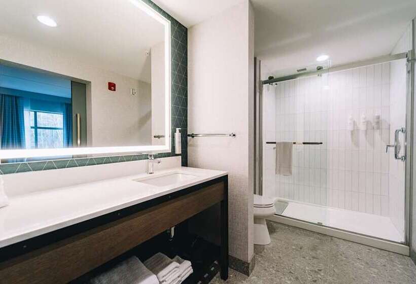 Люкс Повышенной Комфортности, Embassy Suites By Hilton Syracuse Destiny Usa