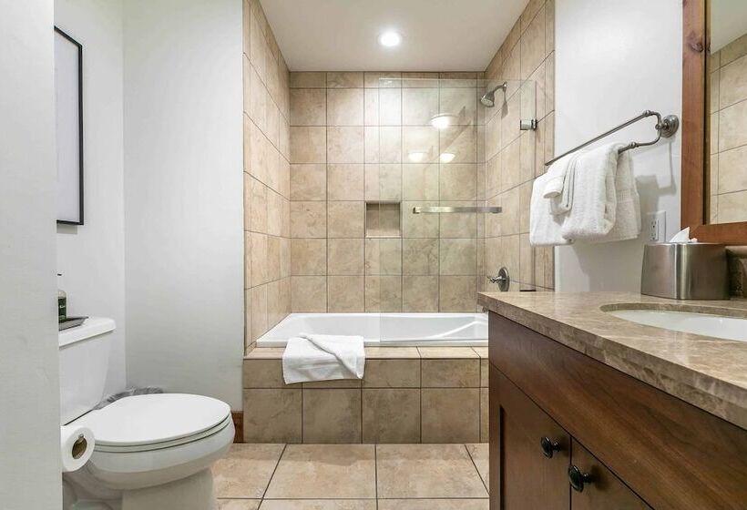Студия Стандарт, East West Hospitality Tahoe