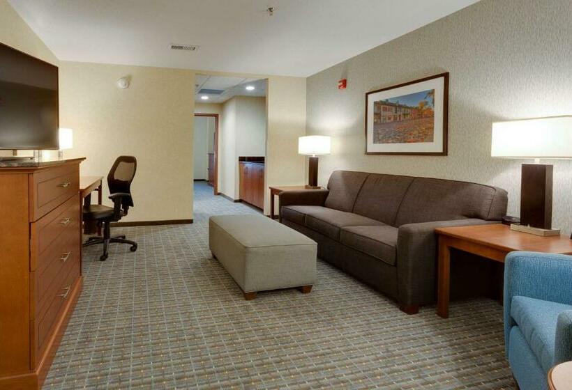 Люкс Кровать Кинг, Drury Plaza Hotel St. Louis St. Charles