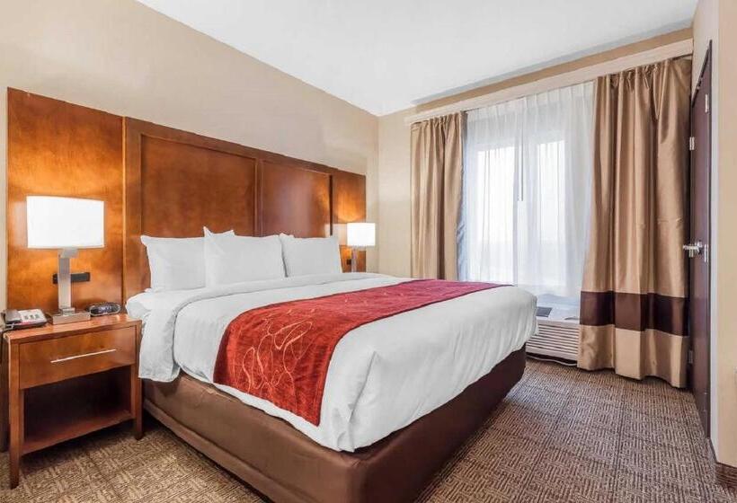 스위트 킹사이즈 침대, Comfort Suites