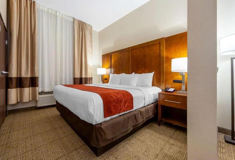 Люкс Кровать Кинг, Comfort Suites