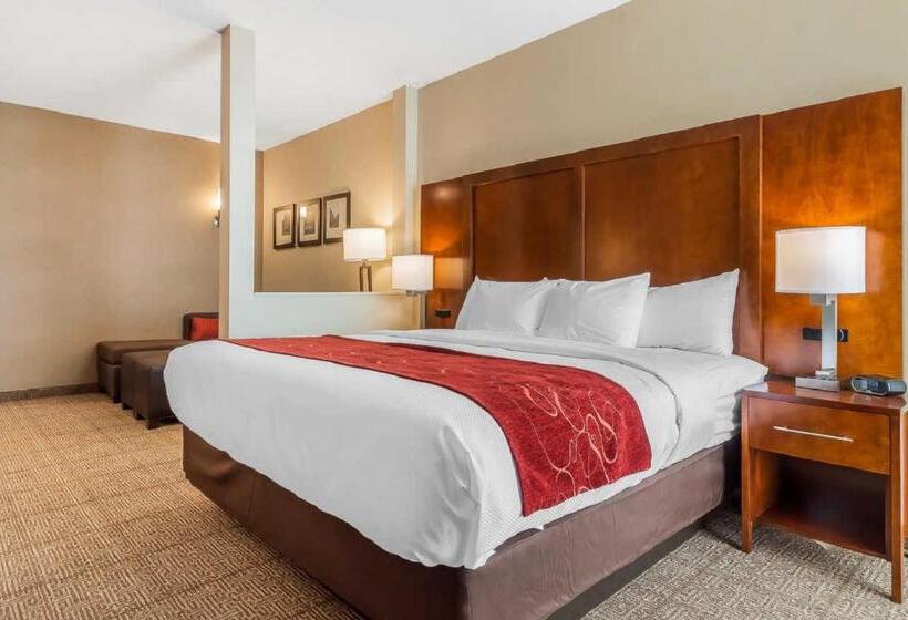 장애인을 위한 스위트, Comfort Suites