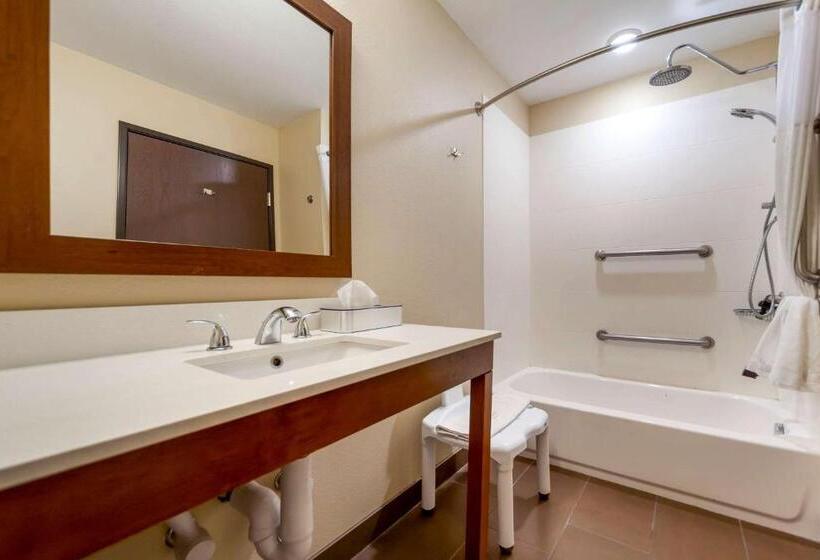 Люкс Адаптированный для Инвалидов, Comfort Suites