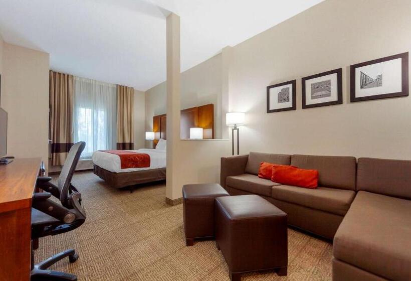 Люкс Кровать Кинг, Comfort Suites