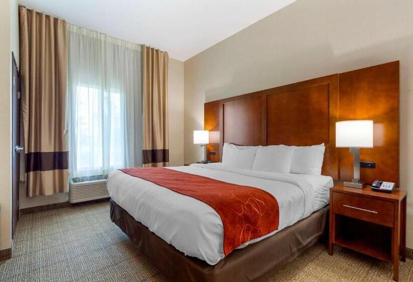 Люкс Кровать Кинг, Comfort Suites